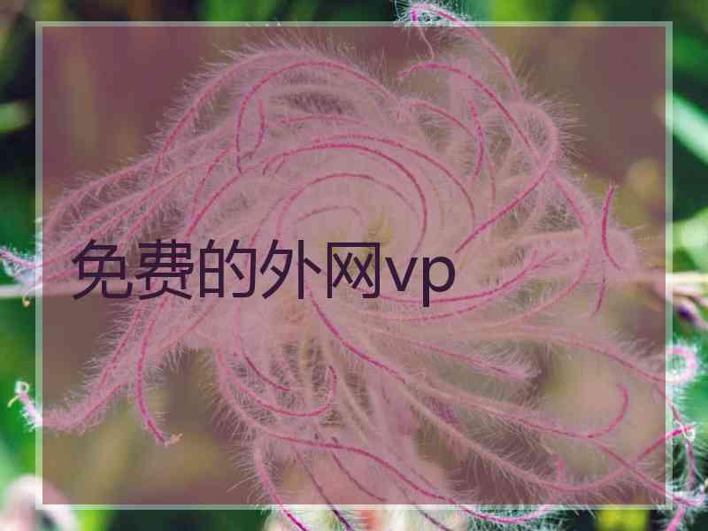 免费的外网vp