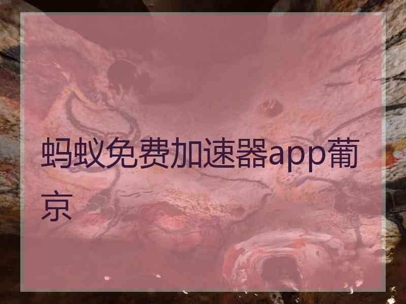 蚂蚁免费加速器app葡京