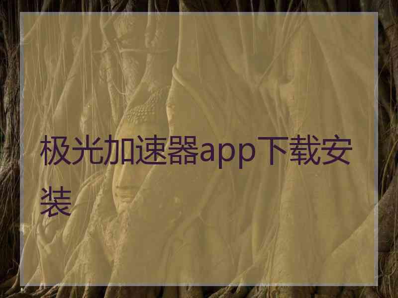 极光加速器app下载安装