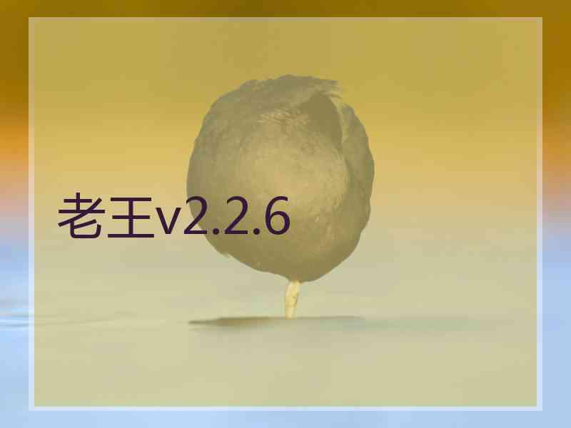 老王v2.2.6