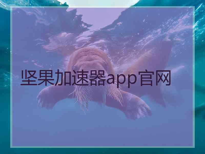 坚果加速器app官网