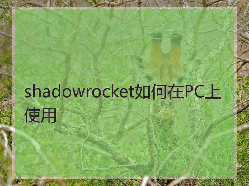 shadowrocket如何在PC上使用