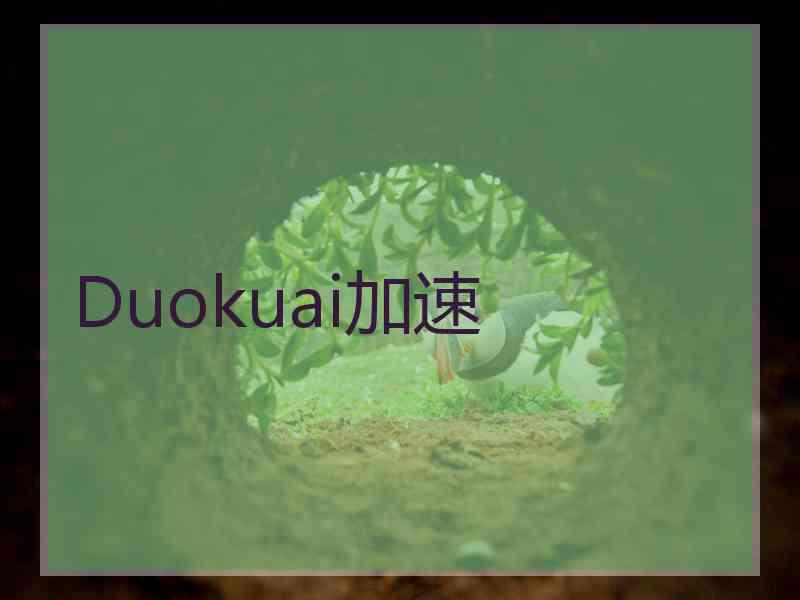 Duokuai加速