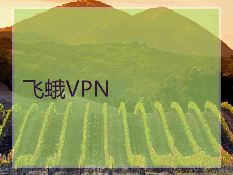 飞蛾VPN