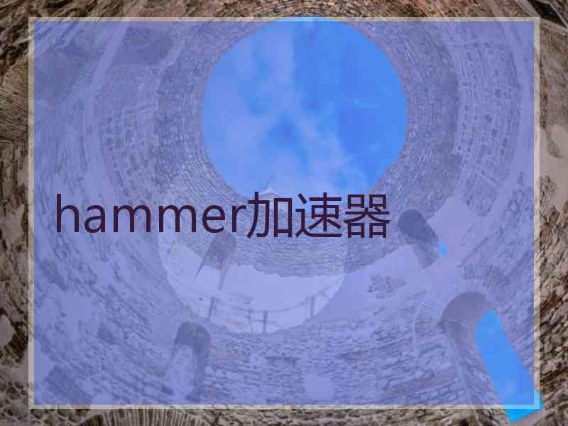 hammer加速器