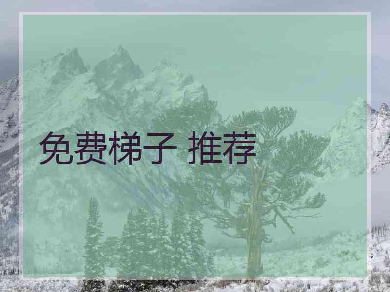 免费梯子 推荐