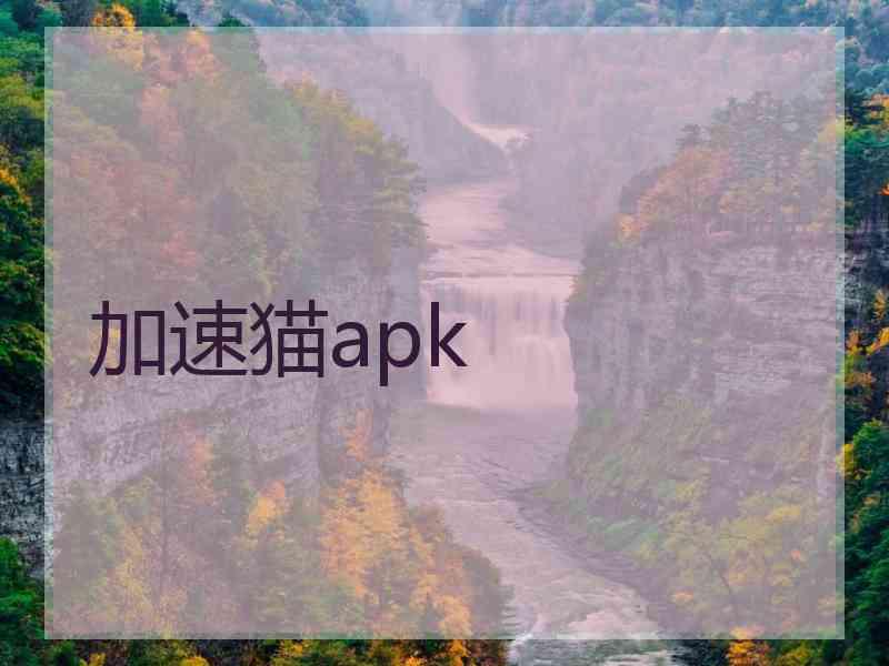 加速猫apk