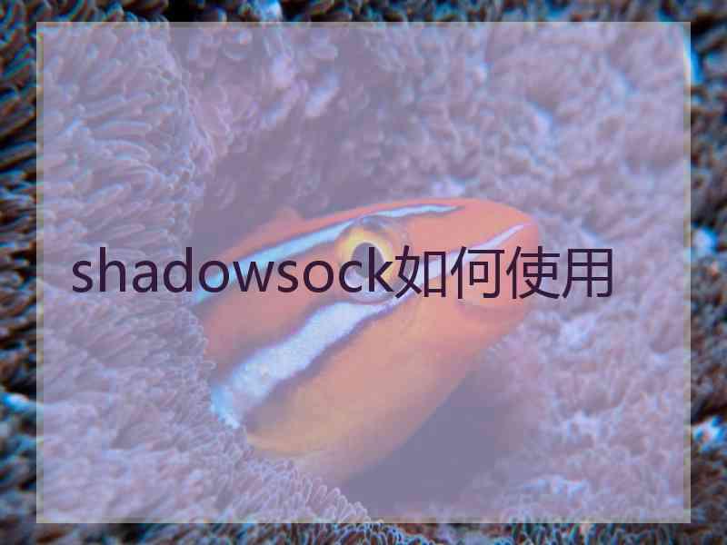 shadowsock如何使用