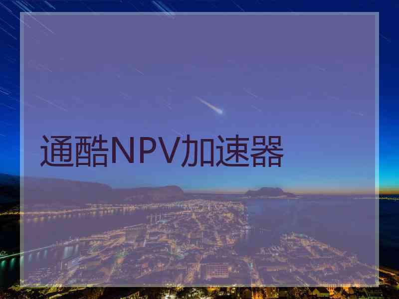 通酷NPV加速器