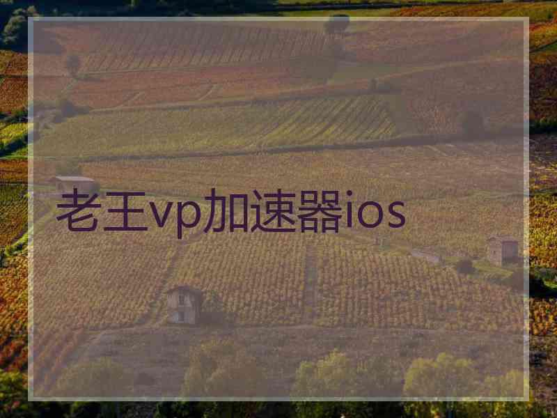 老王vp加速器ios