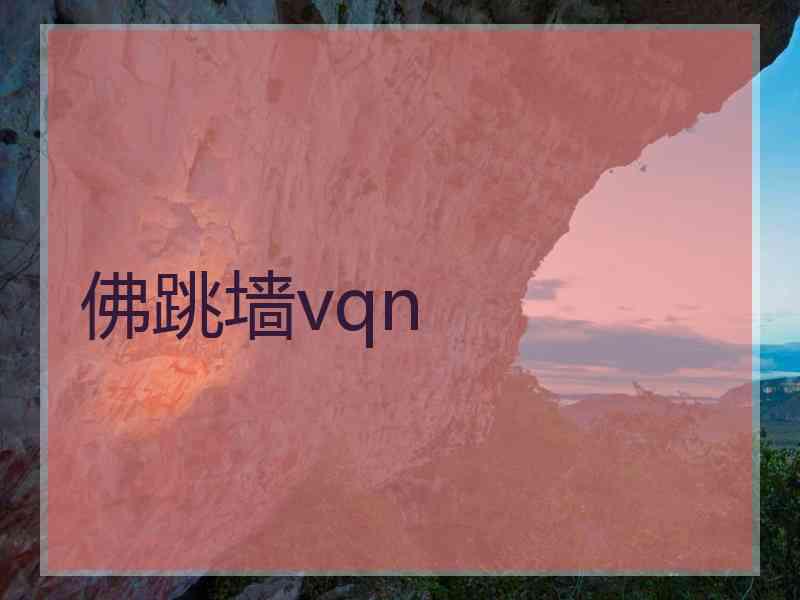 佛跳墙vqn