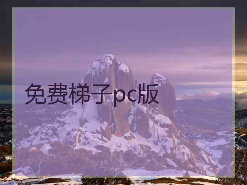 免费梯子pc版