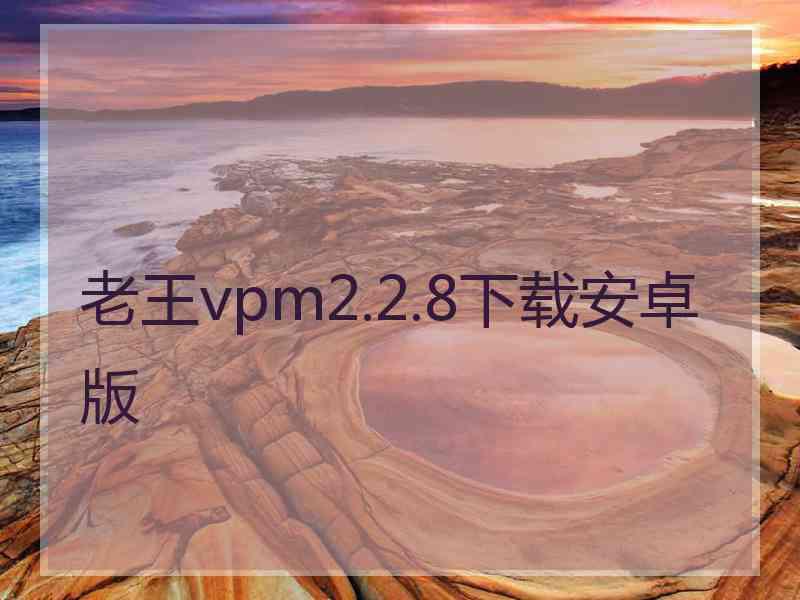 老王vpm2.2.8下载安卓版