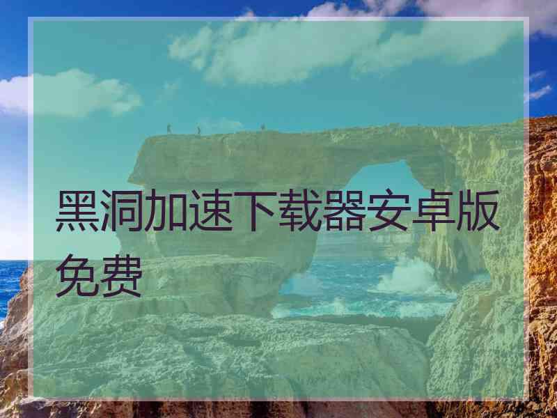 黑洞加速下载器安卓版免费