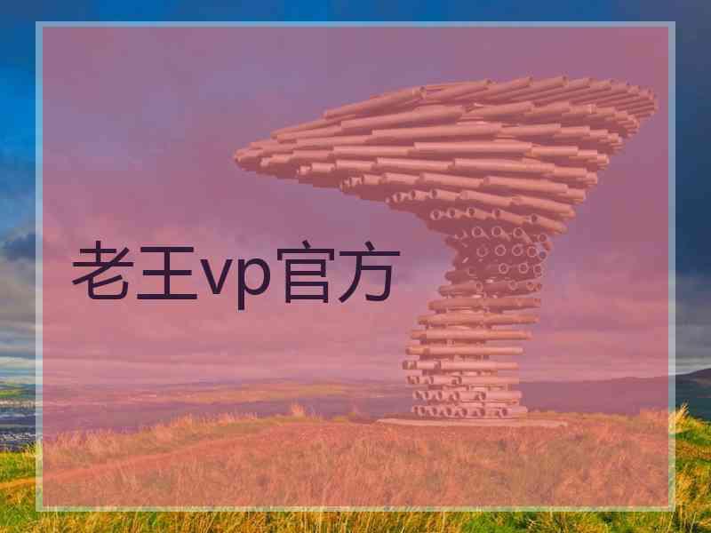 老王vp官方