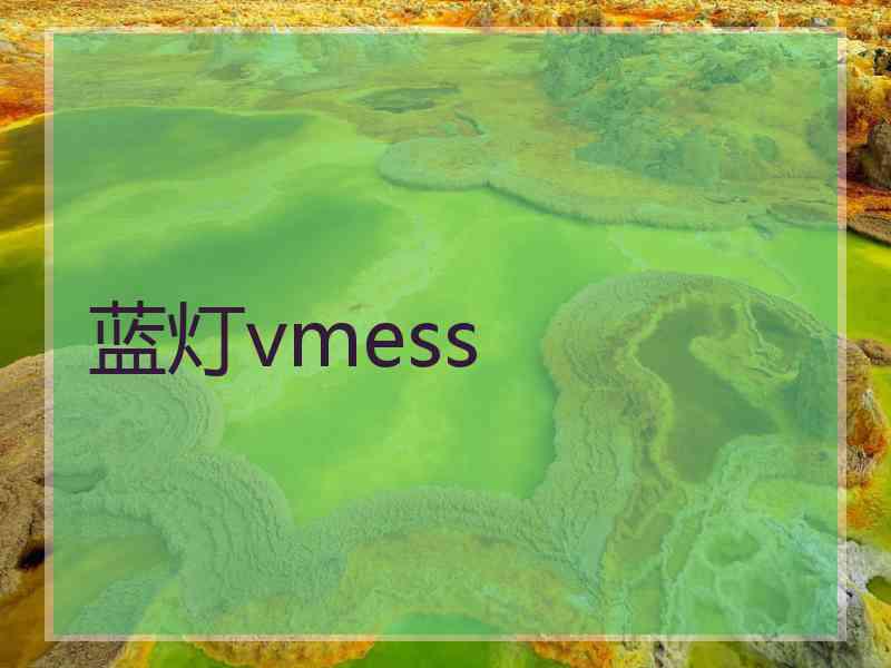 蓝灯vmess