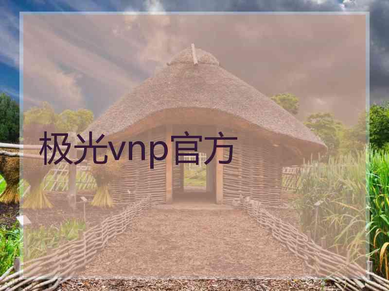 极光vnp官方