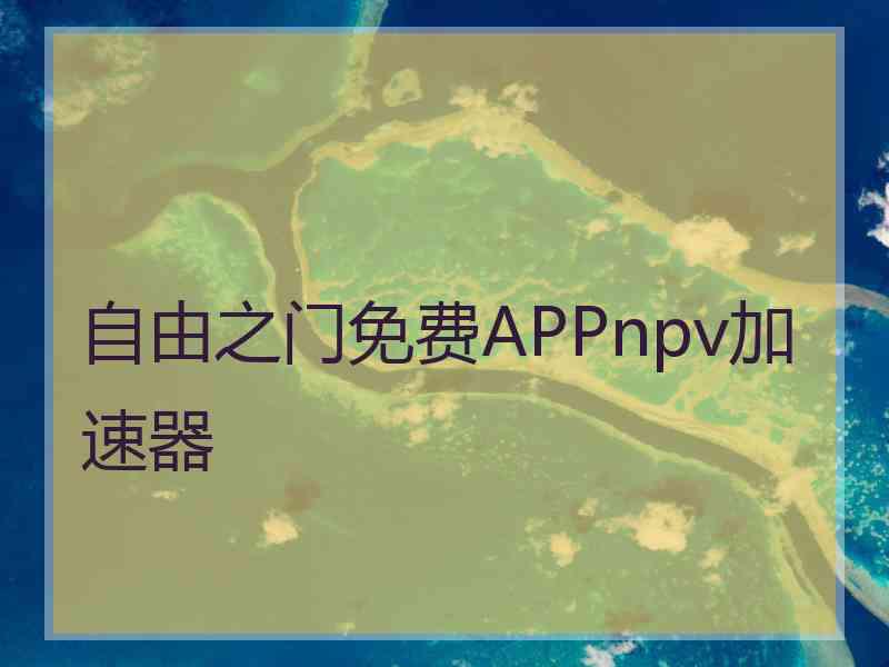 自由之门免费APPnpv加速器