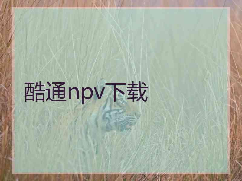 酷通npv下载