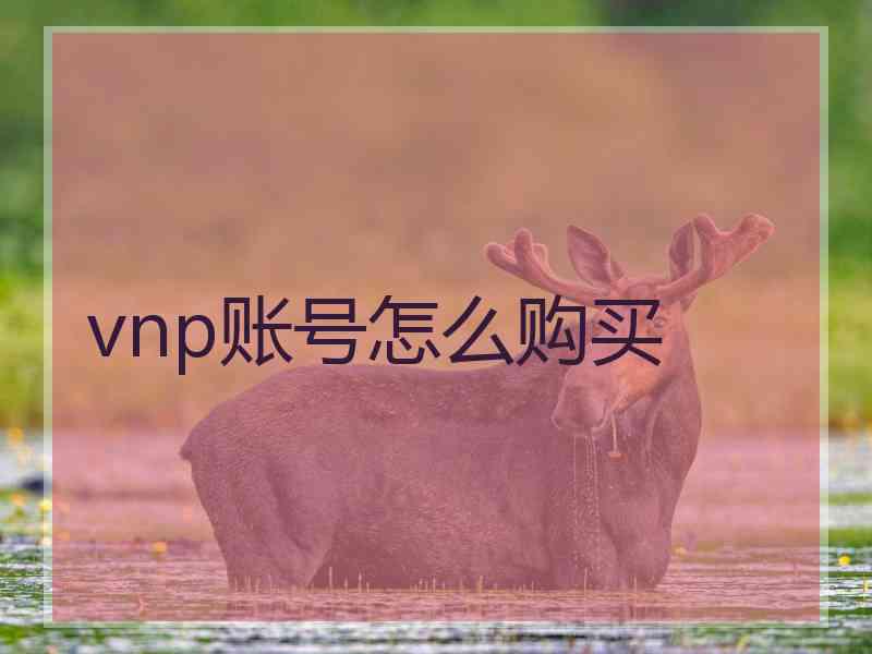 vnp账号怎么购买