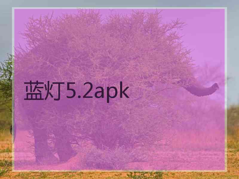 蓝灯5.2apk