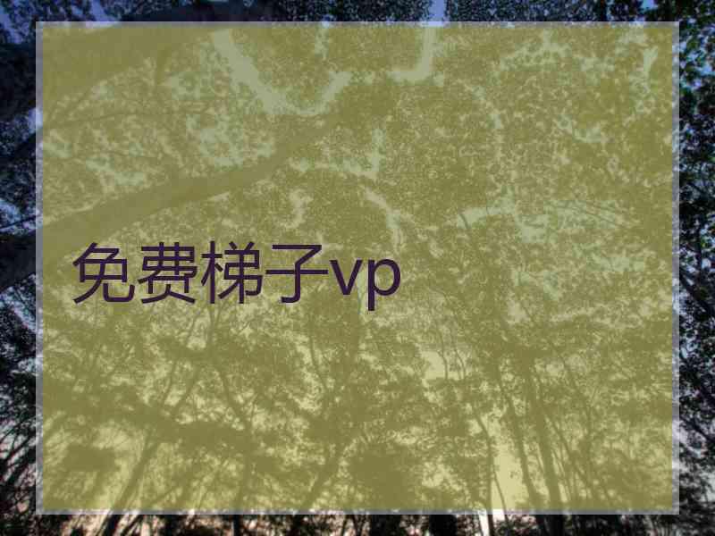 免费梯子vp