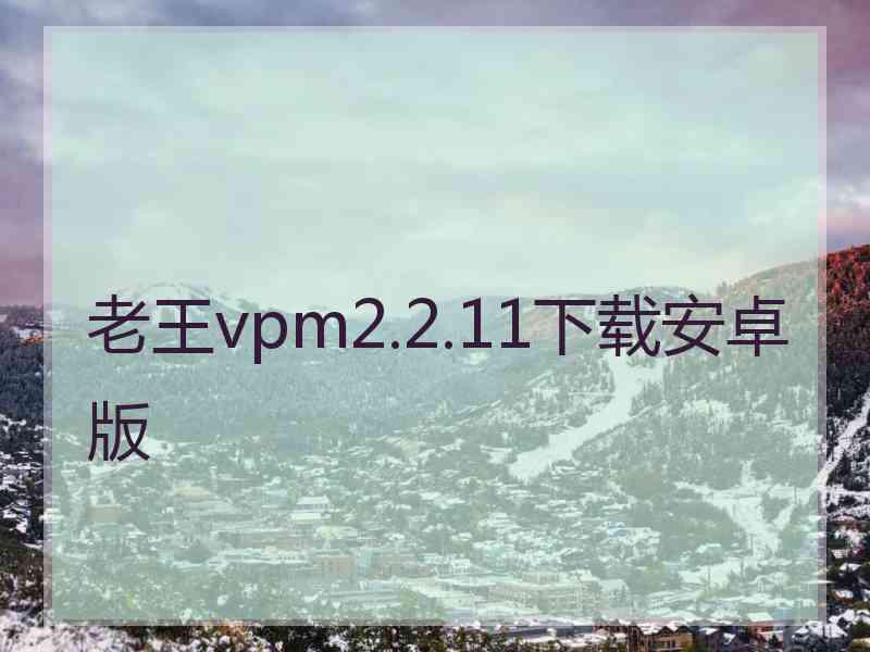 老王vpm2.2.11下载安卓版