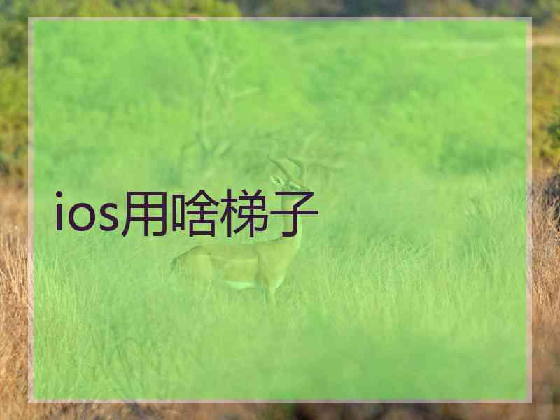 ios用啥梯子