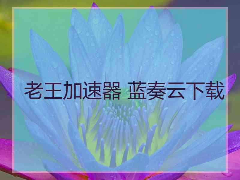 老王加速器 蓝奏云下载