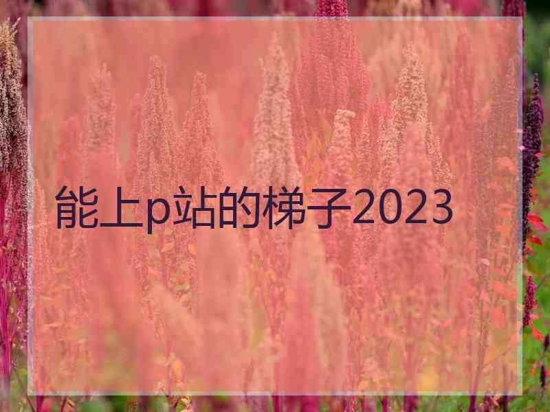 能上p站的梯子2023