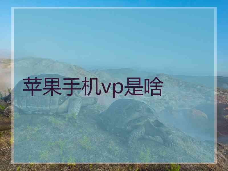 苹果手机vp是啥