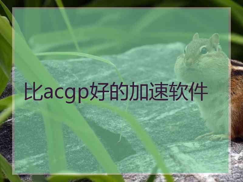 比acgp好的加速软件