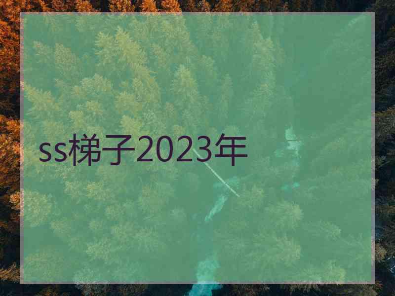 ss梯子2023年