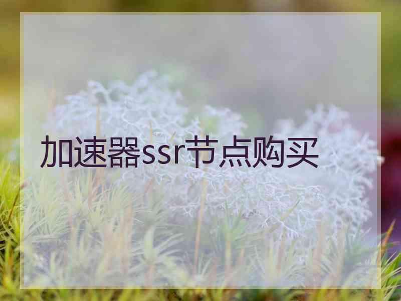 加速器ssr节点购买