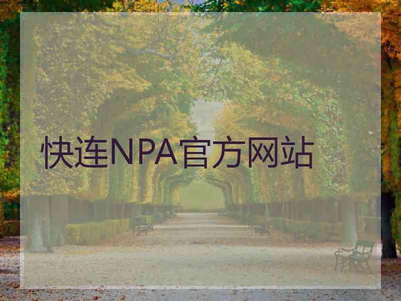 快连NPA官方网站