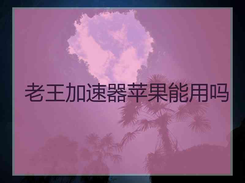 老王加速器苹果能用吗