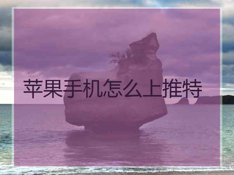 苹果手机怎么上推特