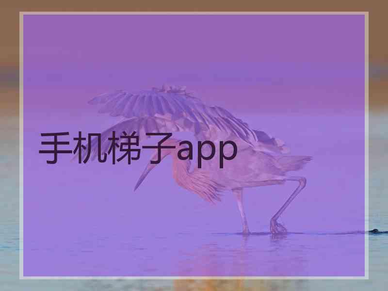 手机梯子app