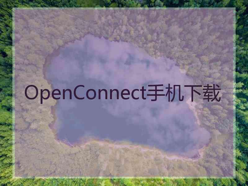 OpenConnect手机下载