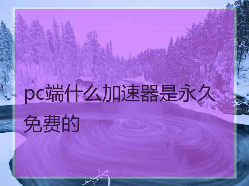 pc端什么加速器是永久免费的