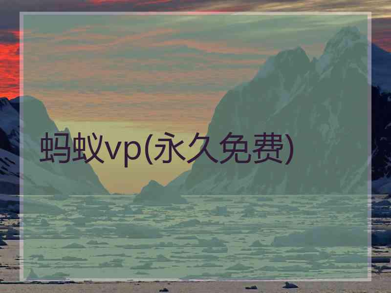 蚂蚁vp(永久免费)