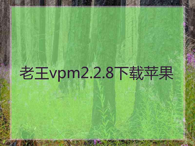 老王vpm2.2.8下载苹果