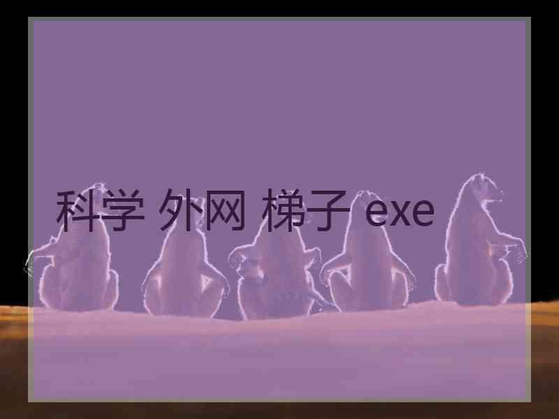 科学 外网 梯子 exe