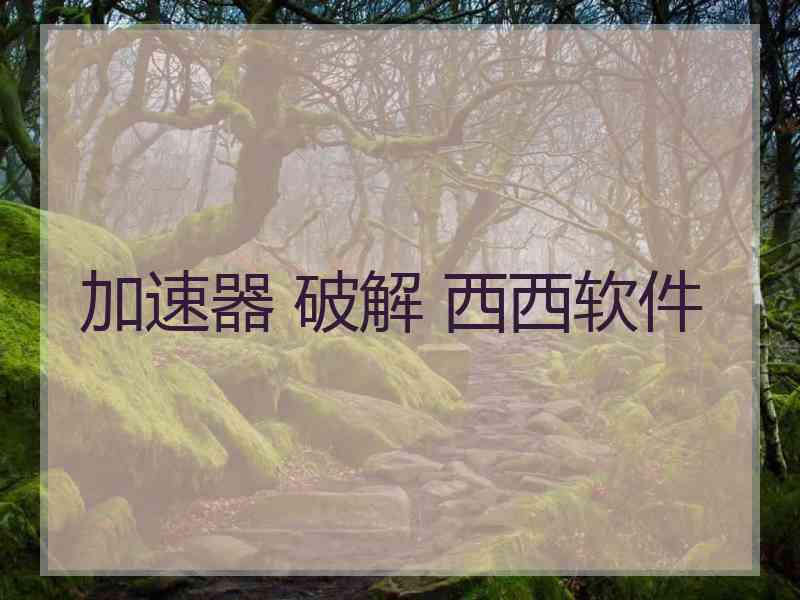 加速器 破解 西西软件