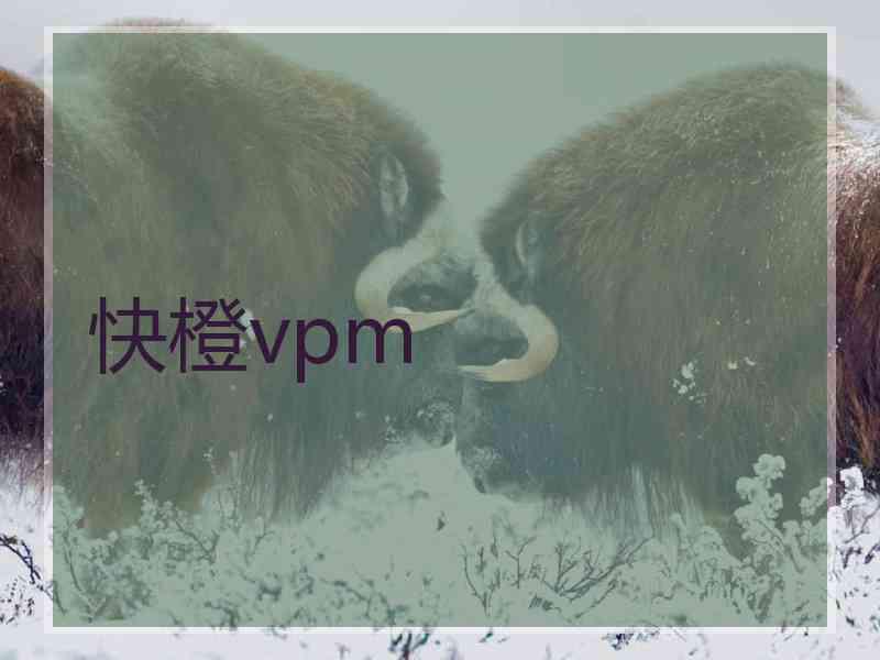 快橙vpm