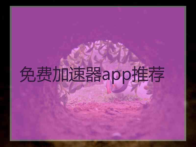 免费加速器app推荐