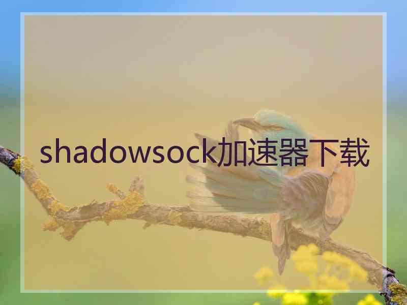 shadowsock加速器下载