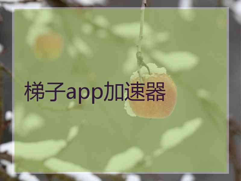 梯子app加速器