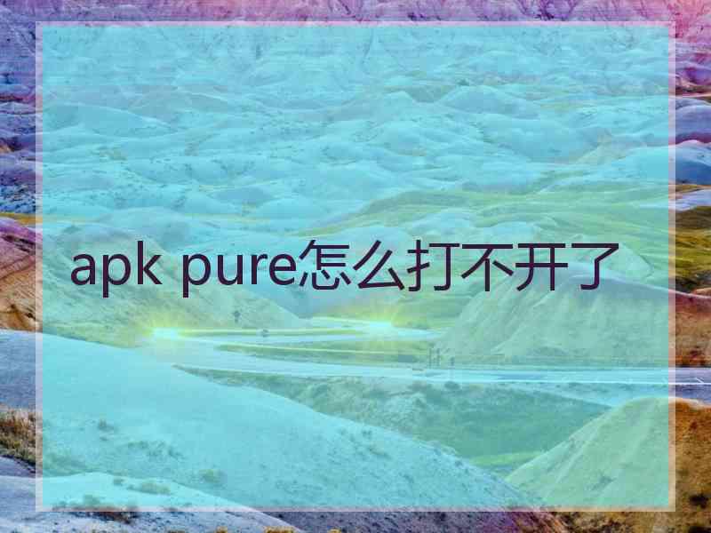 apk pure怎么打不开了