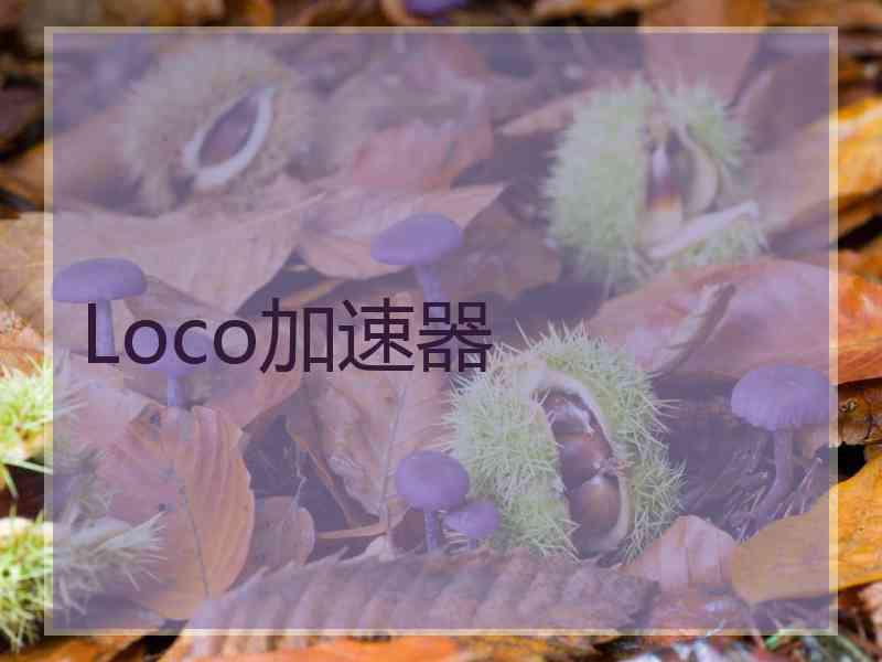 Loco加速器